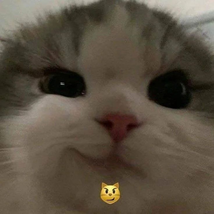 NO